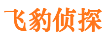 郧西市私家侦探